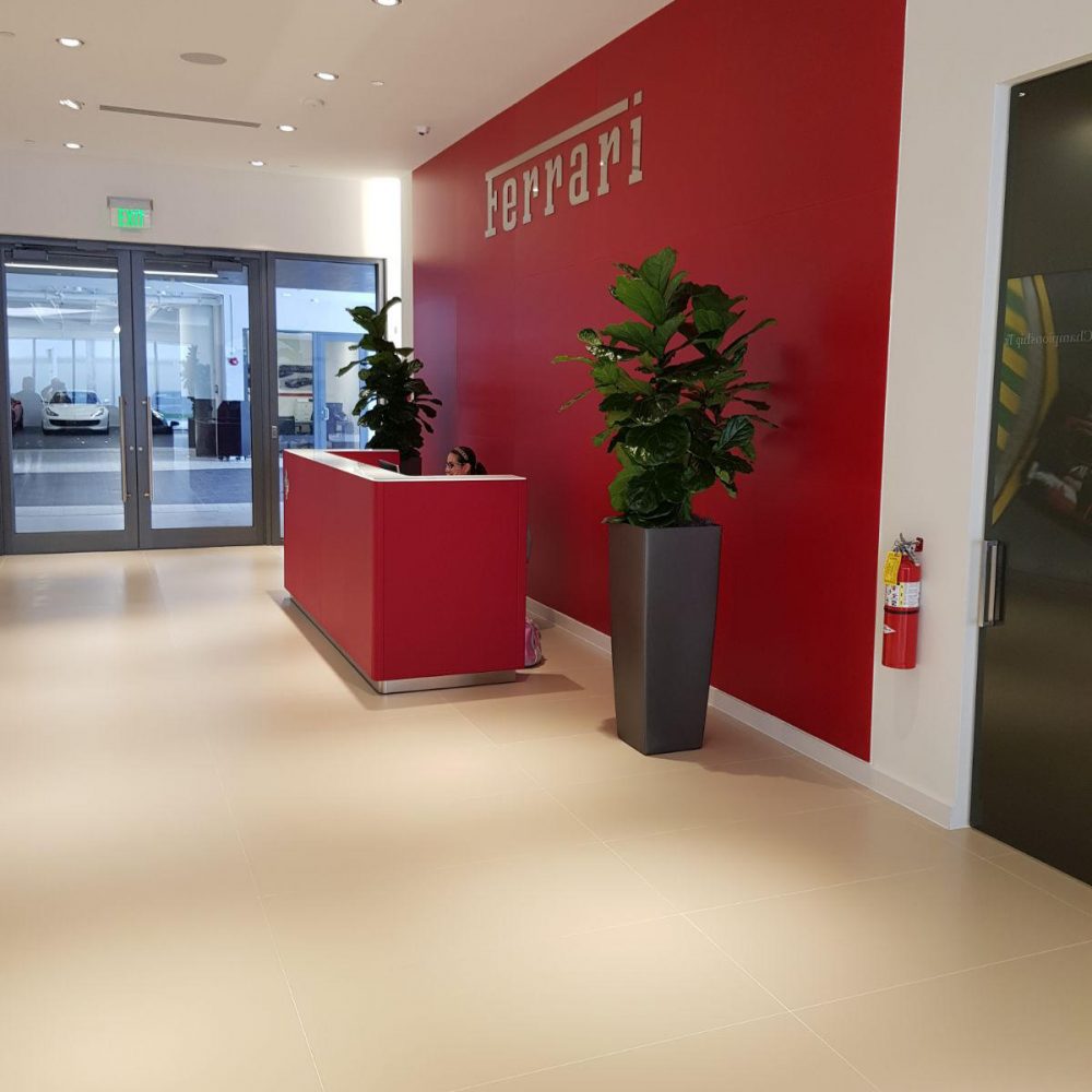 ferrari-soglianese-03