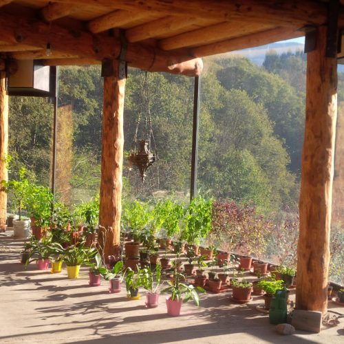 private-house-soglianese-02