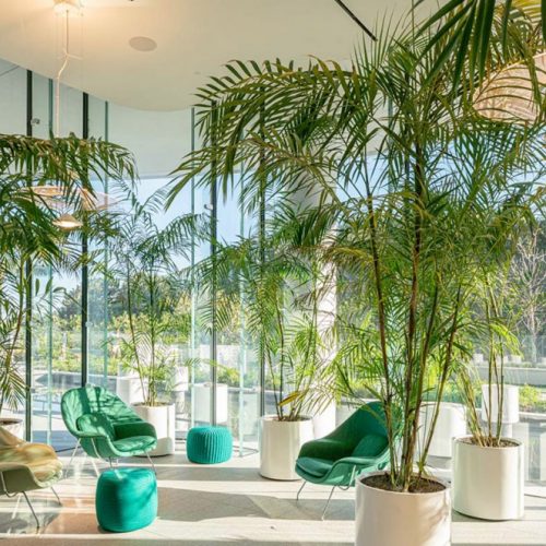 renzo-piano-87-park-pilastri-2